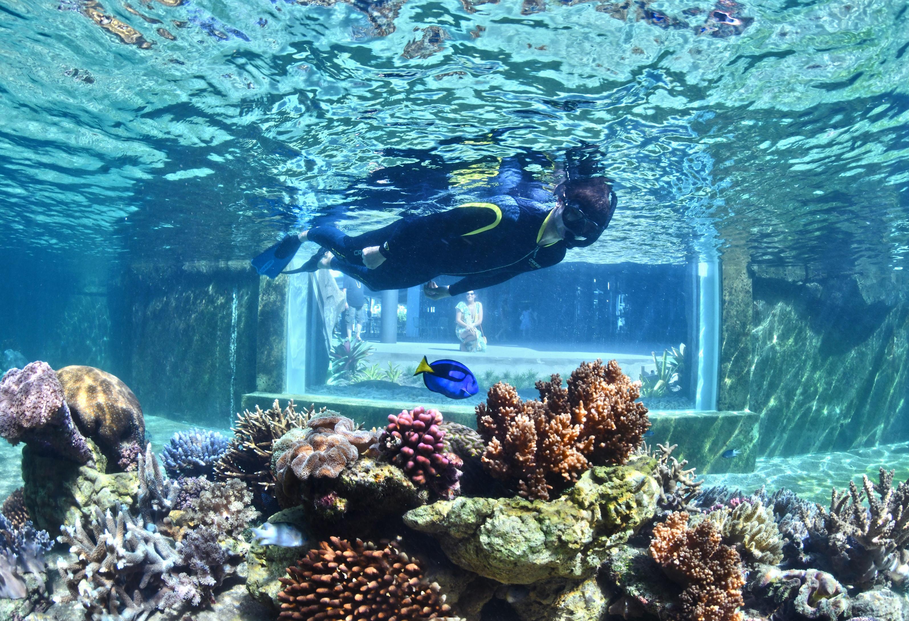 Daydream Island Resort Экстерьер фото
